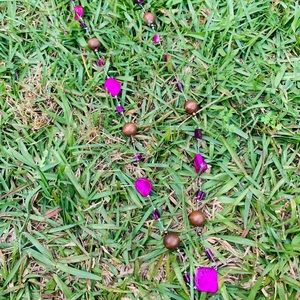 Purple Beaded Necklace
